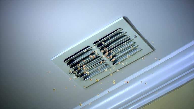 Professional Airduct Cleaning in Columbia Falls, MT