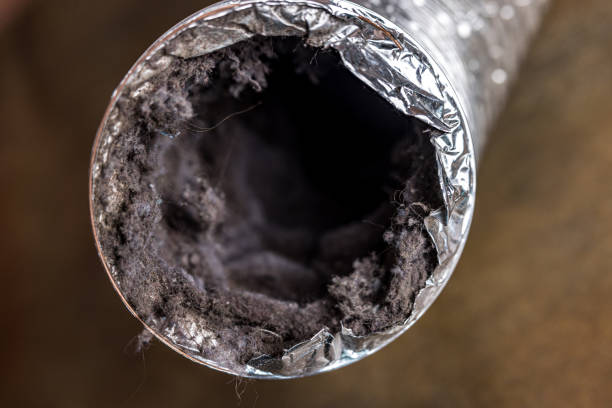 Best Professional Duct Cleaning Services  in Columbia Falls, MT