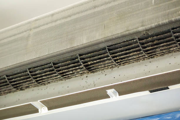 Best Air Duct Cleaning Near Me in Columbia Falls, MT
